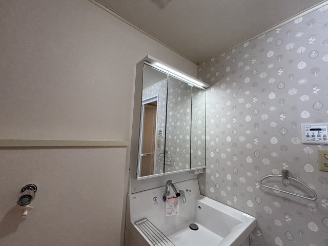 ガーデンコート中之島の独立洗面台