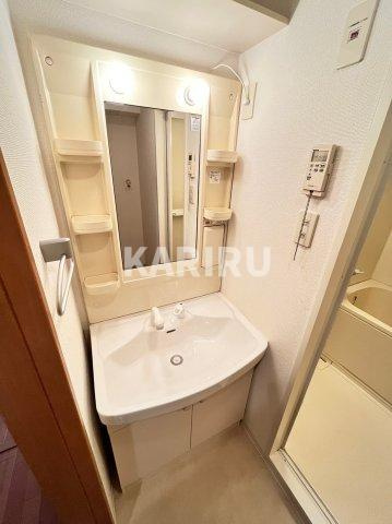 ウィスタリア京橋の洗面所