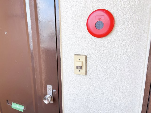 エシール共和のその他