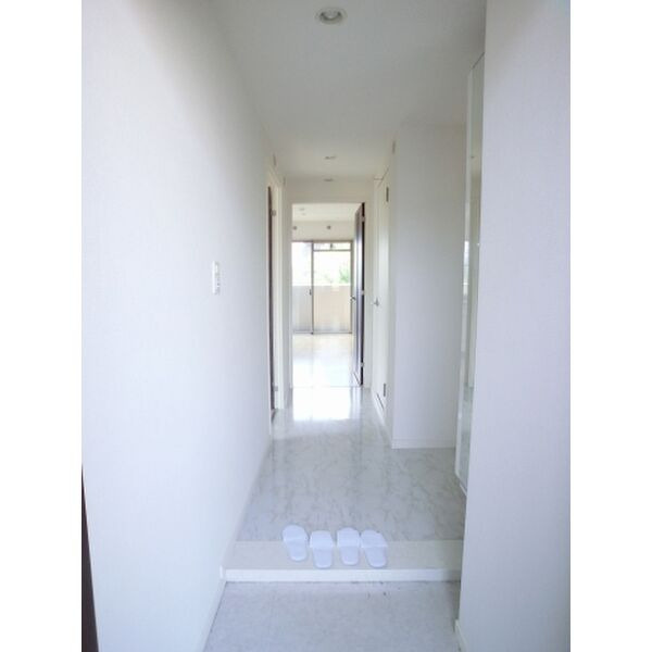 ステラ大橋のその他