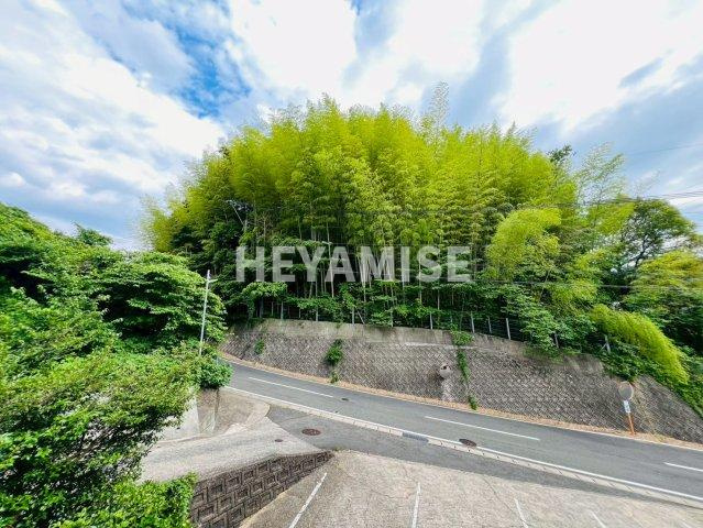 ドリームサンシャインの展望