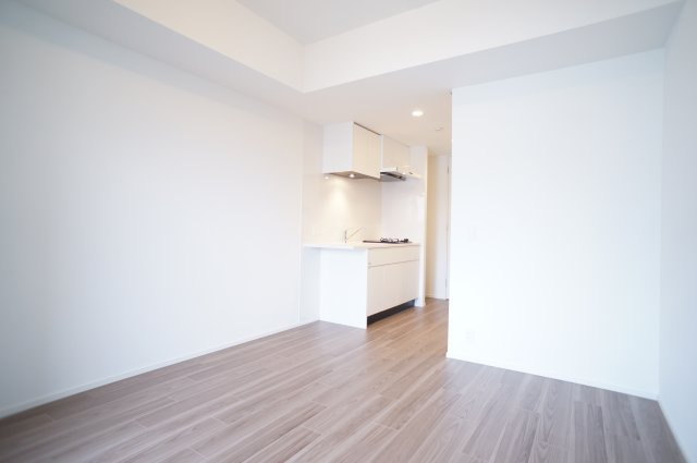 プライムメゾン錦糸町の居間・リビング|落ち着いた色合いの床と、白い建具とクロスは家具選びし易いです。