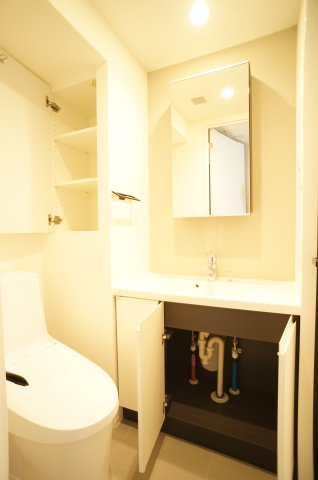 プライムメゾン錦糸町の洗面所