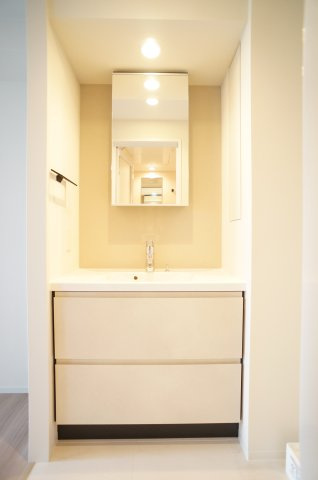 プライムメゾン錦糸町の洗面所|下段2か所、鏡裏1カ所、収納棚豊富な洗面台です♪