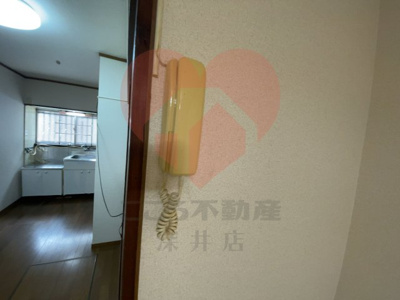  | 松原市天美南３丁目テラス