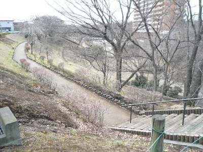 かにが沢公園まで150ｍ