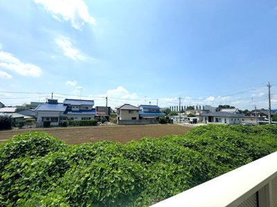 【展望】 | サニーヒルS&A