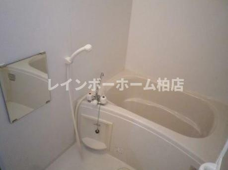 【仲介手数料：50％OFF】対象物件！の浴室|お風呂です