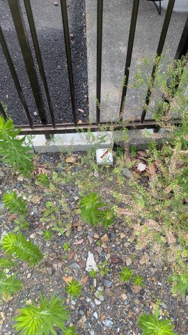 土地　高屋伊勢田1丁目の外観