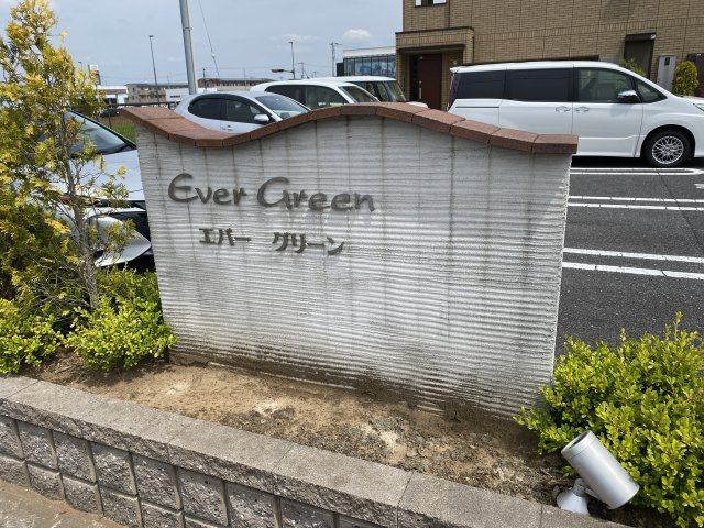 エバーグリーンのその他