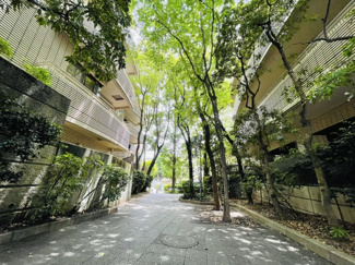【その他共用部分】 | ご自宅から現地まで、当社スタッフがお車にて、「お迎え・お送り」をしております。ぜひお気軽にお問い合わせくださいませ♪