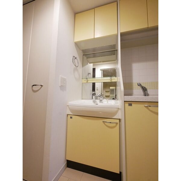 プレサンス大須観音駅前サクシードの洗面所