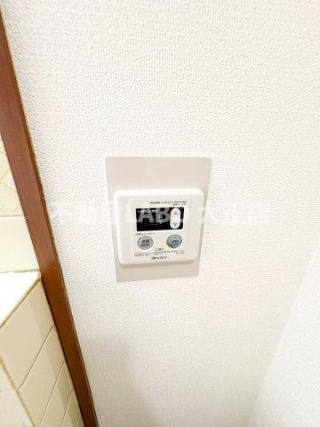ヴォーン・ルーエ マンモスのその他