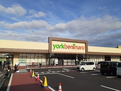 【周辺】 | パールヒルズ入江町 | ヨークベニマル入江町店まで300m