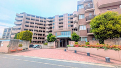 ＼内見予約可能／　リフォーム　済　レクセルマンション茅ヶ崎の画像