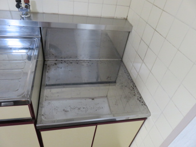 【その他】 | GRACEFUL