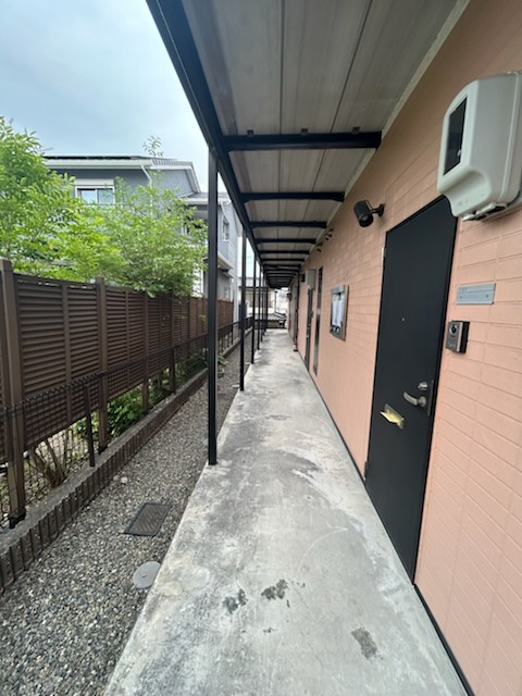 アンプルールブワ虹のその他