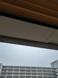 コンフォートⅡの展望