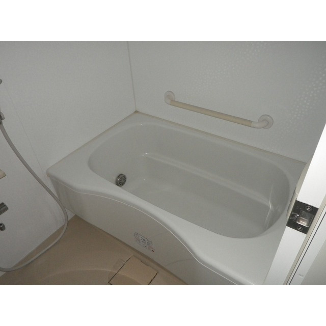 ラクレイス県庁口の浴室