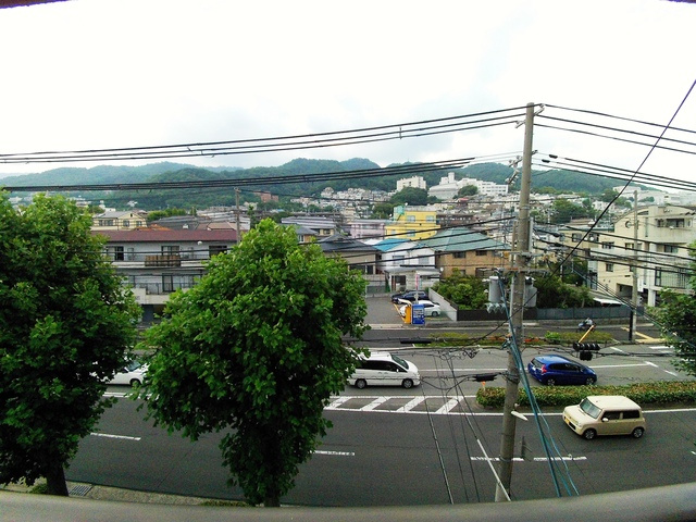 ドウェル本山の展望