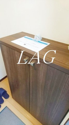 【収納】 | Ａｌｏｕｅｔｔｅ | シューズボックス