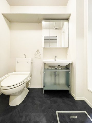 シャーメゾンＭの洗面所