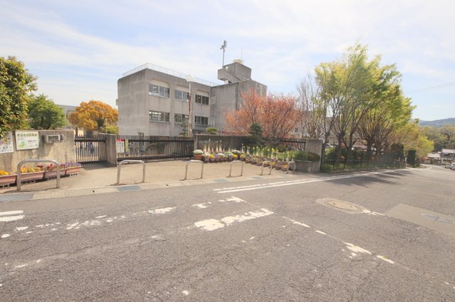 メゾン大和東生駒の周辺|小学校「生駒市立生駒東小学校まで1183m」