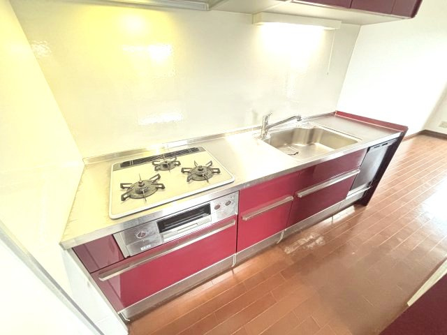 アンビエント金剛東のキッチン