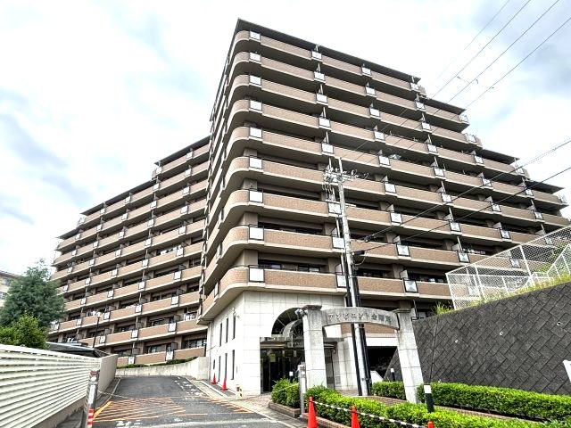 アンビエント金剛東
