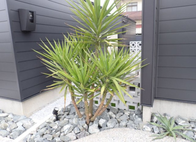 【その他】 | HPに初期費用掲載！「プライスホーム」で検索！RE VILLAGE