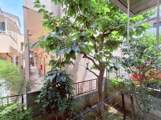 モンシャトルの展望