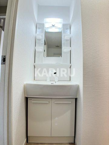 ドゥエリング神路 の洗面所