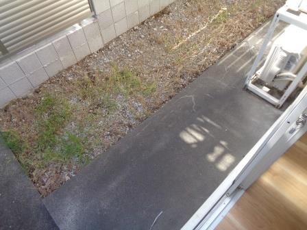 ステップ阿佐谷の庭