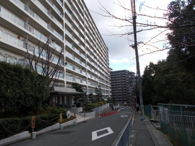 【周辺】 | 日商岩井緑地公園マンション | 前面道路