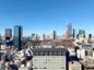 WORLD TOWER RESIDENCEの画像