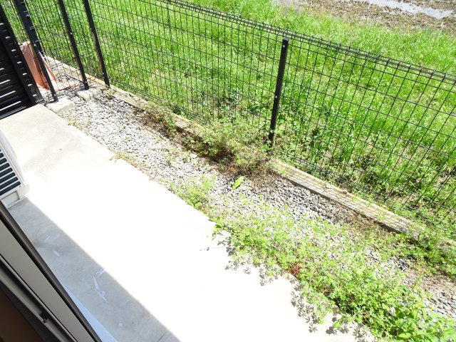 プレシャスの庭