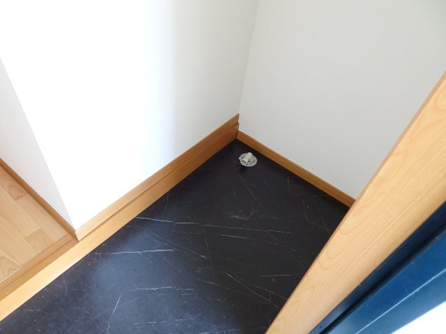 プレシャスのその他