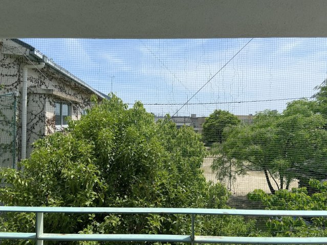 ハイム桃山の展望