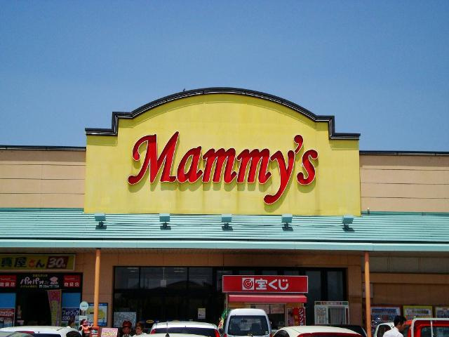 Ｈａｎａｍｉｚｕｋｉの周辺|マミーズ赤坂店まで895ｍ