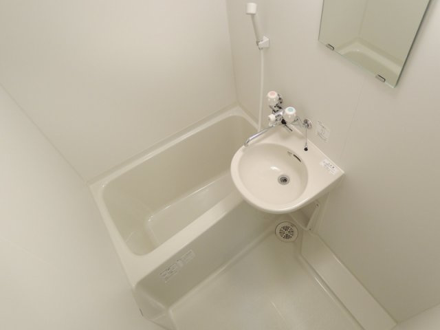 レオネクストサマールＳの洗面所