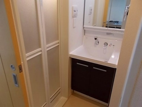 コレクト　ライルの洗面所