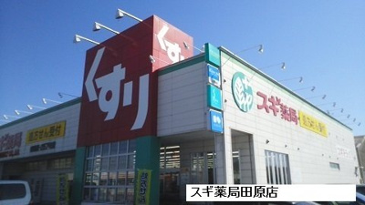 【周辺】 | フロル・デ・コルサ | スギ薬局田原店まで1300m