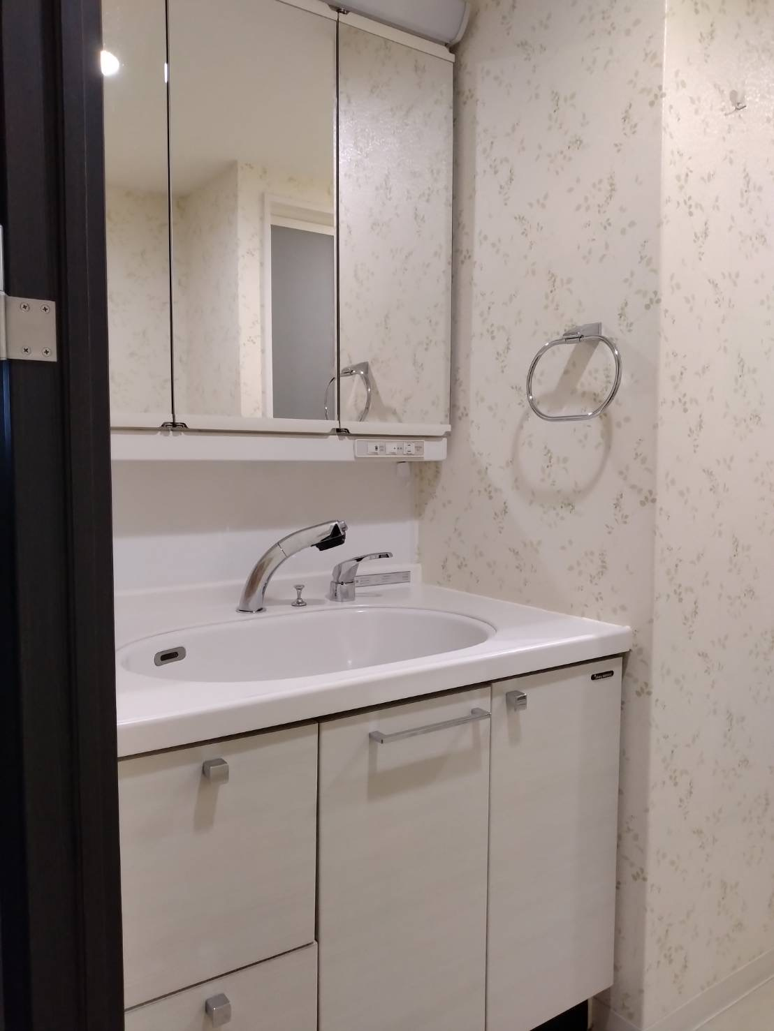 ６５４１５　Vigo aisho 北方の洗面所