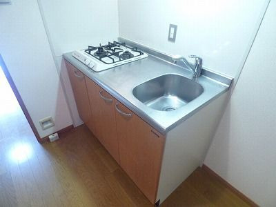 ローズモント・フレア薬院のキッチン