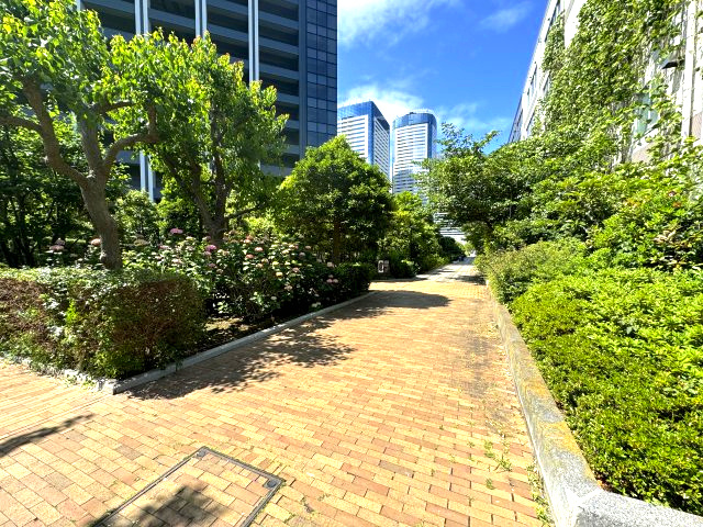 シティタワーズ豊洲 ザ・ツインノースタワーの周辺