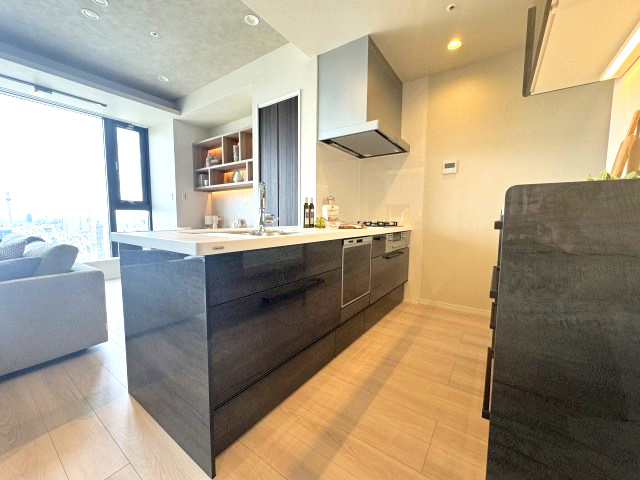 シティタワーズ豊洲ザ・シンボルのキッチン