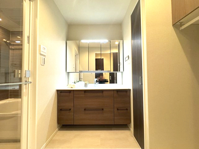 シティタワーズ豊洲ザ・シンボルの独立洗面台