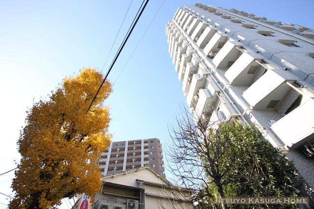 ライオンズプラザ白山の画像