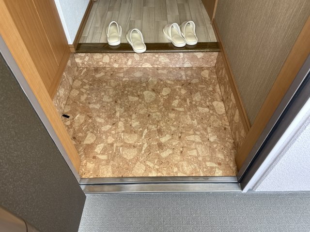 ラフィーヌ上野田Ⅱの玄関