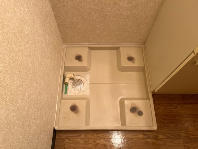 エクセレント，ＯＮのその他